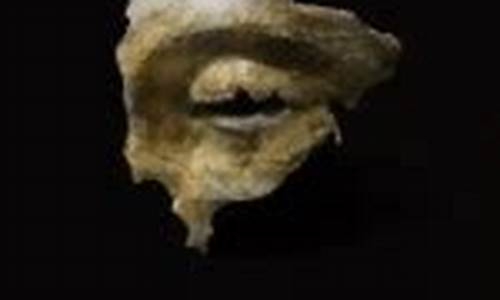 黑神话悟空碎金片怎么获得_黑神话悟空碎金